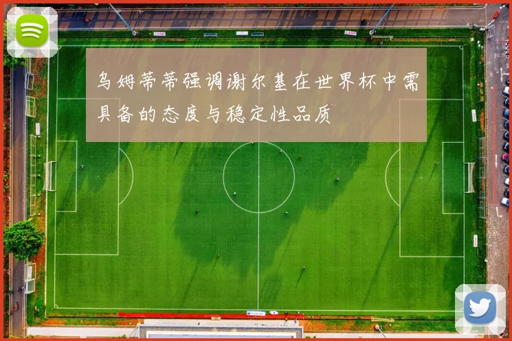 乌姆蒂蒂强调谢尔基在世界杯中需具备的态度与稳定性品质